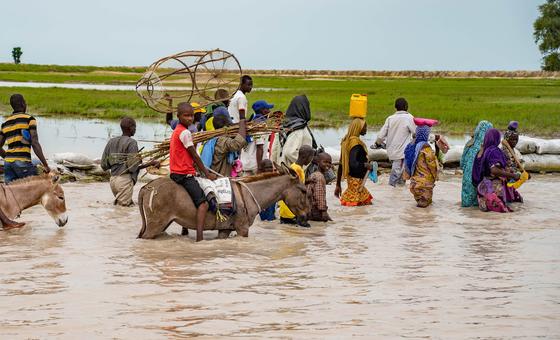 North-eastern Nigeria: malnourished children fighting for their lives