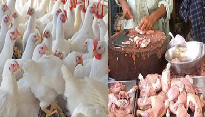 Chicken meat 40 rupees expensive