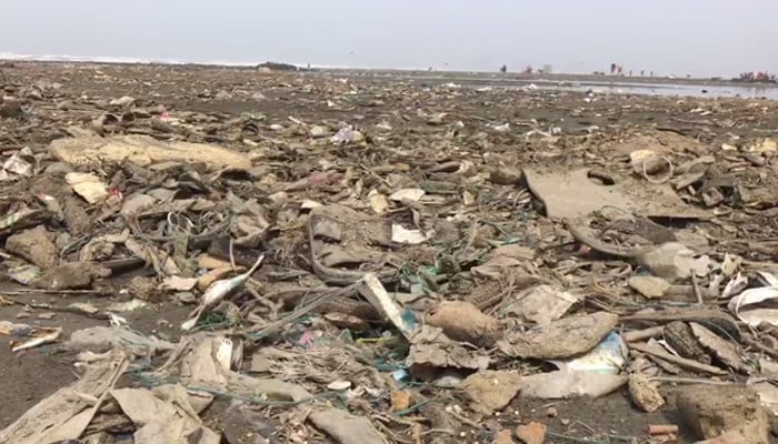 Flooded by Buparjoy, the sea threw garbage on the shore