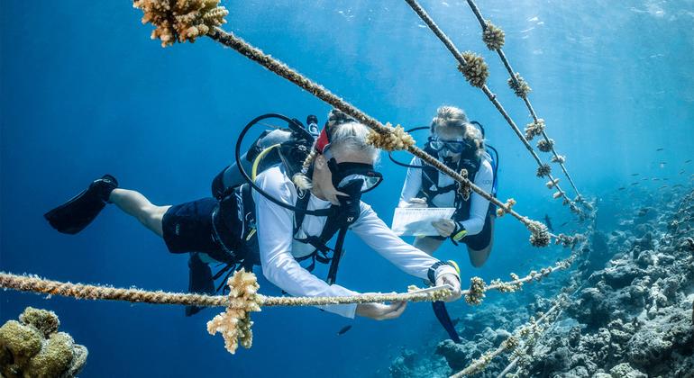 From the Field: Boosting ocean literacy