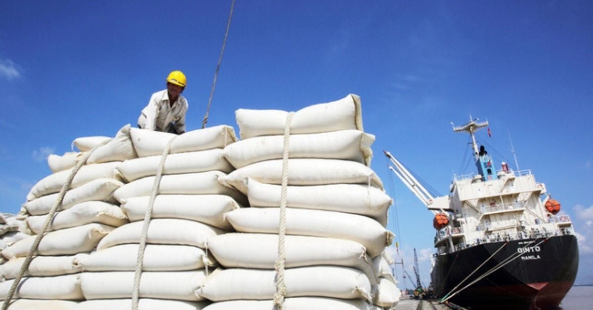 Increase in rice exports from Pakistan to Russia