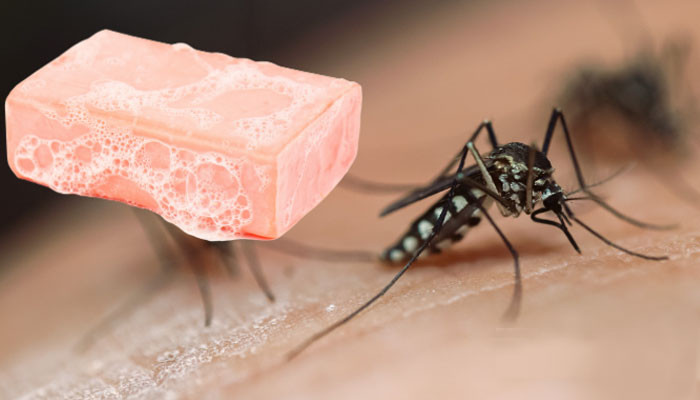 Is your soap not attracting mosquitoes to you?