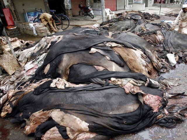 Karachi, rate of cowhide fixed at Rs.2200