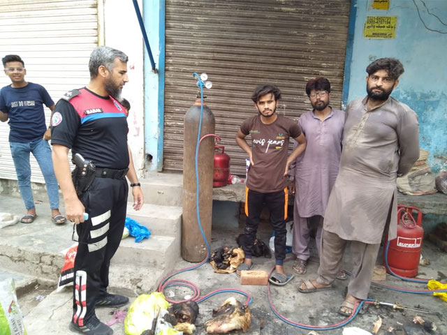 Lahore;  68 people were arrested for roasting Sri Pai on the highways