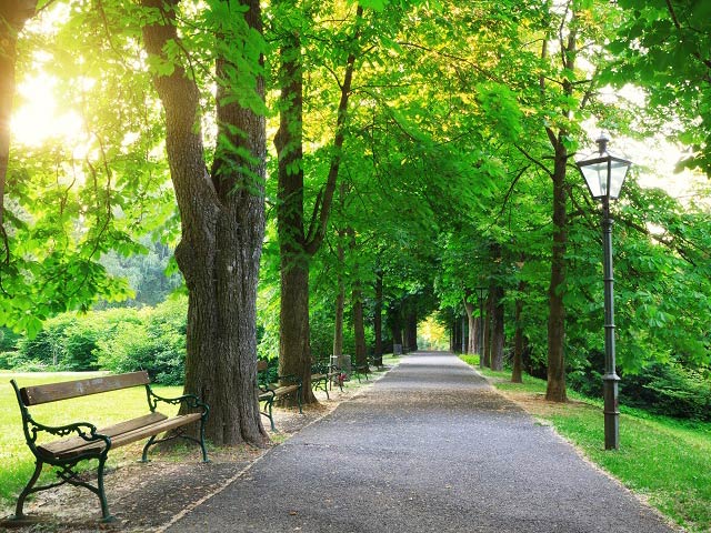 Living near green spaces can slow down aging