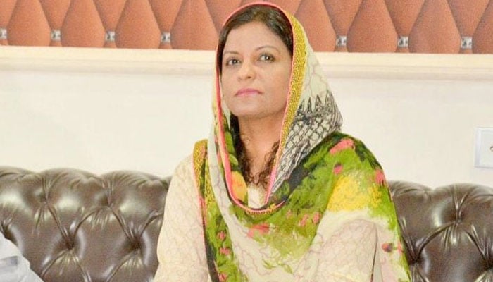 Nafisa Shah raised objections on the federal budget