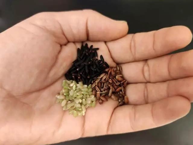 Nutritious, ready-made black, red and brown rice