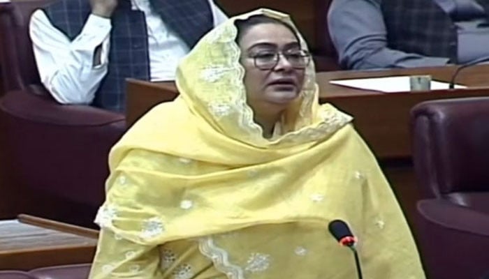 People's Party MNA Shaughta Jamani's criticism of the government in the National Assembly session