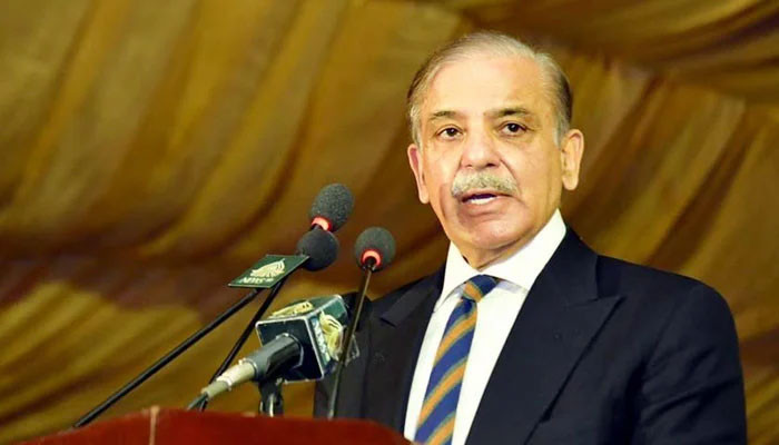 Prime Minister Shehbaz Sharif will attend the Summit of Shanghai Cooperation Organization