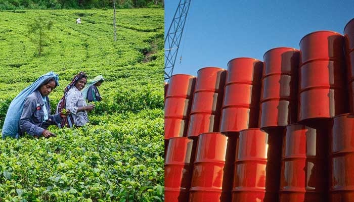 Start of barter trade, Sri Lanka will buy oil from Iran in exchange for tea