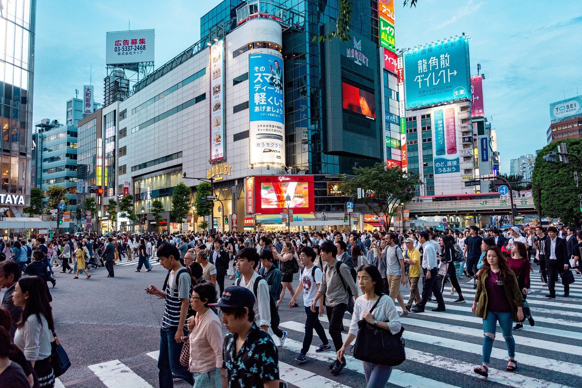 The decision to issue long-term work visas to foreigners in Japan