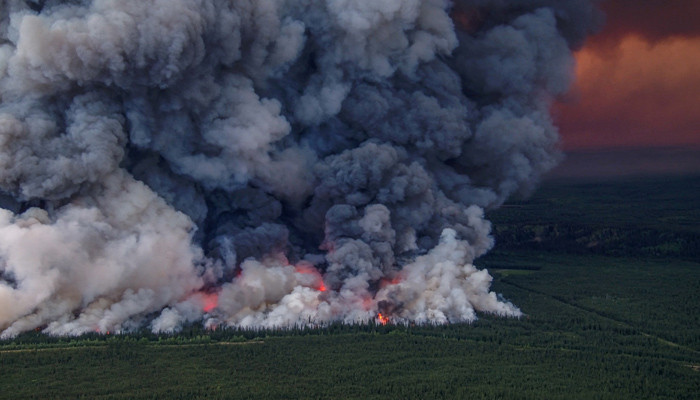 The fires in Canada's forests have not yet been brought under control