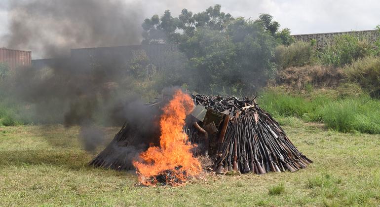 Trafficking in the Sahel: Muzzling the illicit arms trade