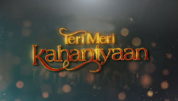 The movie 'Teri Meri Kaani' hit the theaters on Eid-ul-Adha File photo