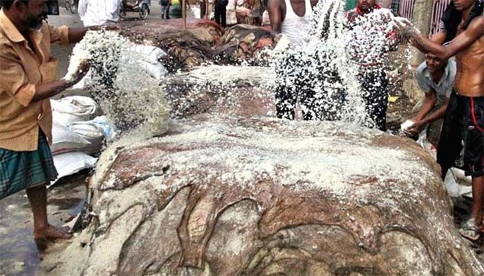 Animal skin business is in decline Photo file