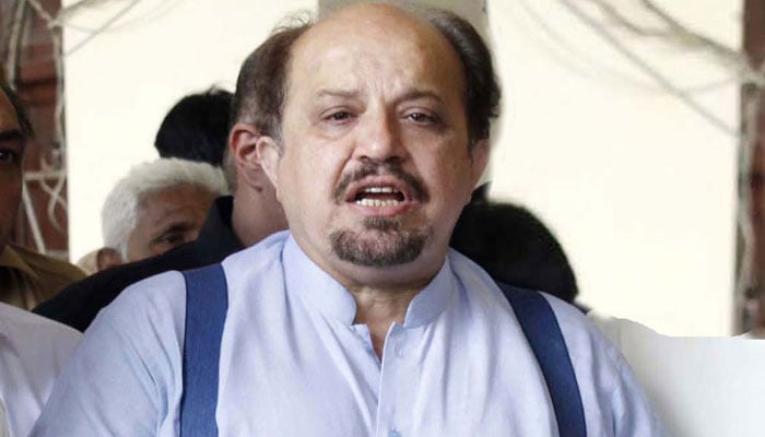 Firdous Shamim Naqvi—File photo