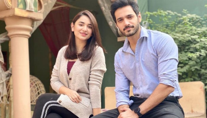 How much did Wahaj Ali and Yamuna Zaidi get paid for their work in the drama 'Tere Bin'? File photo