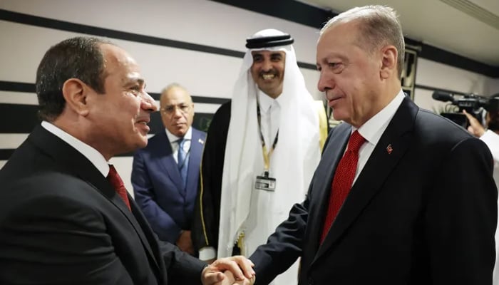 Diplomatic relations between Turkey and Egypt restored File photo