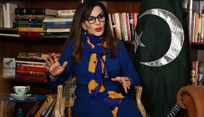 The country has not recovered from the effects of the end of Shaheed Bhutto's regime, Sherry Rehman The country has not recovered from the effects of the end of Shaheed Bhutto's regime, Sherry Rehman