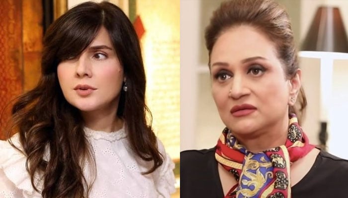 Mahnoor Baloch's reaction to Bushra Ansari's criticism File photo