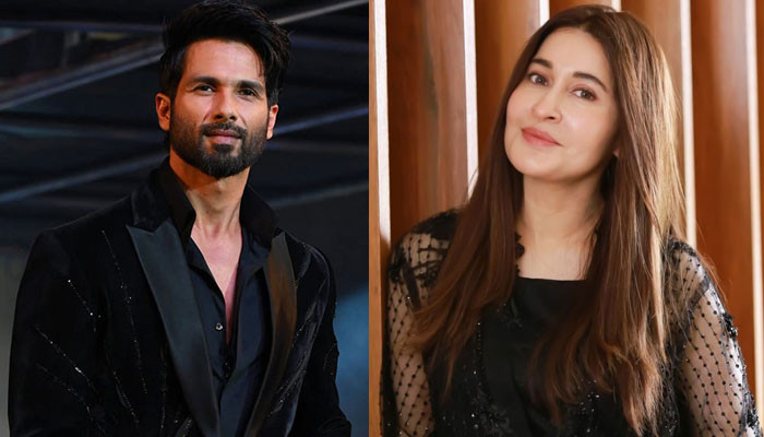 What was Shaista Lodhi embarrassed about while interviewing Shahid Kapoor?