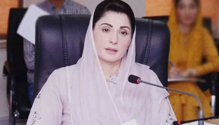 Sweden incident hurt the sentiments of Muslims, Maryam Nawaz File photo