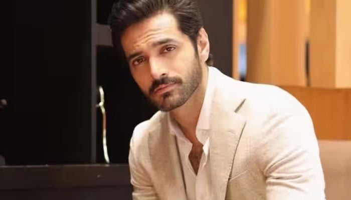 Wahaj Ali's special message for fans at the end of the drama serial 'Tere Bin' Wahaj Ali, file photo