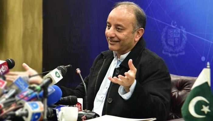 PTI Sabotages IMF Deal, Mossadegh Malik File photo