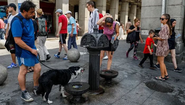 Last year, 61 thousand deaths were recorded in Europe due to heat waves Photo courtesy of Foreign Media