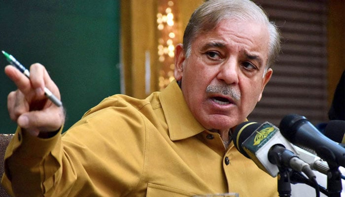 Pakistan is trying to invest billion dollars in agriculture sector, Shahbaz Sharif File photo