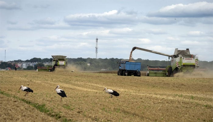 Britain expresses protection against Russia's suspension of implementation of the grain agreement Photo courtesy: AP.