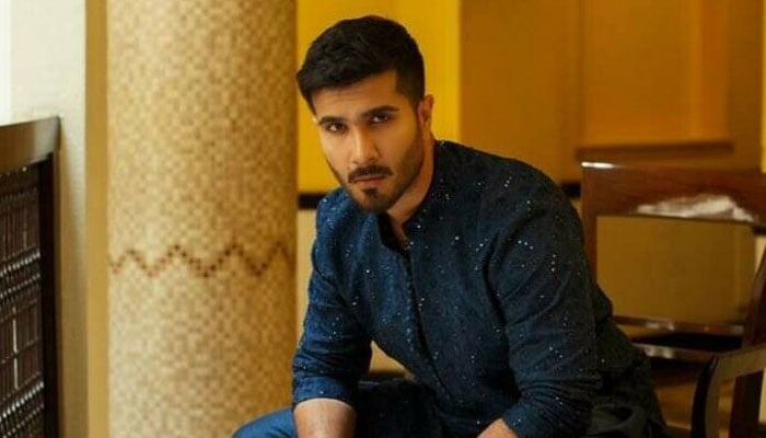 It cost Feroze Khan dearly to mock the journalist File photo