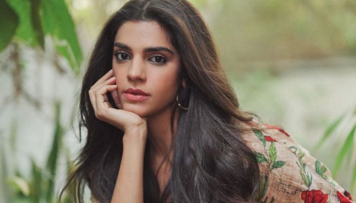 'I don't want to have a child anymore,' Sanam Saeed's expression of her desire to adopt a child