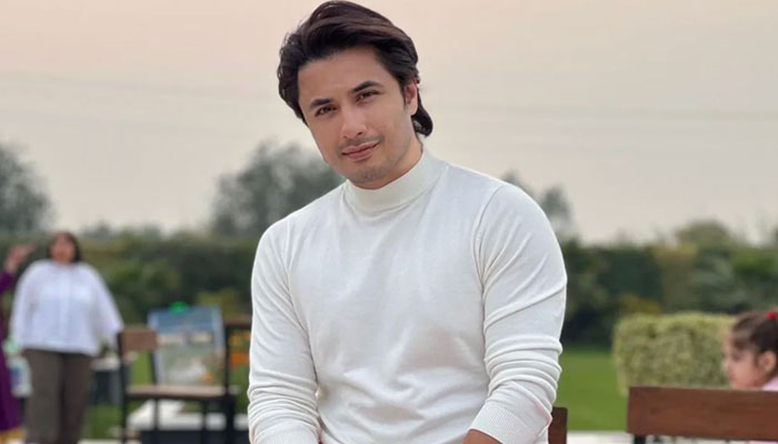 Ali Zafar made a prediction about the Pakistani economy File photo