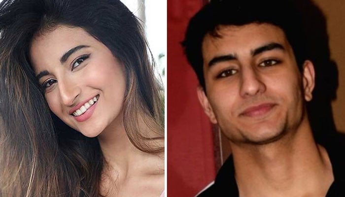 Does Pulak Tewari and Ibrahim Ali Khan's relationship have parental consent?