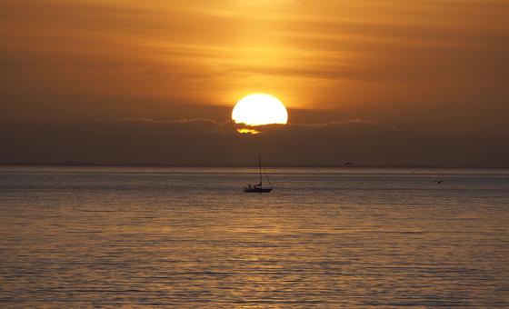 Temperatures off the charts, but more records imminent: WMO