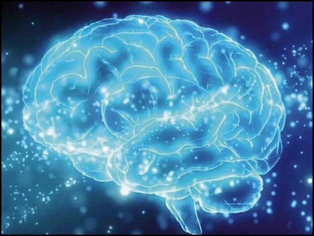 Brain-healthy, neurologist-recommended foods Certain foods are tonic for the human brain. Photo: File