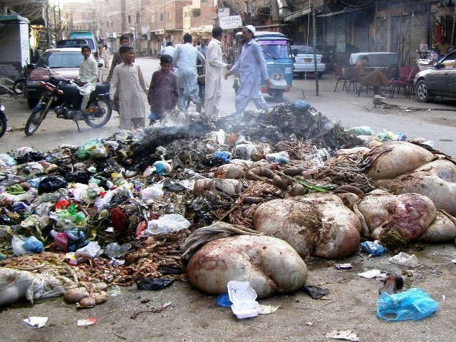 Due to non-removal of garbage in Karachi, there is severe pollution, sewers have boiled in different areas