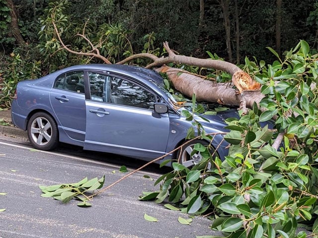 Four people injured when a tree fell on a car on GT Road, Rawalpindi