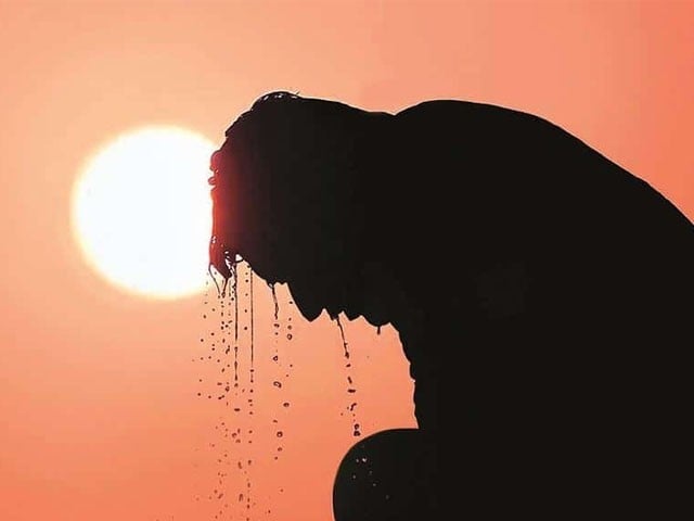 July 2023 will be the hottest month of the century; NASA experts NASA experts warned of extreme heat; Photo: File