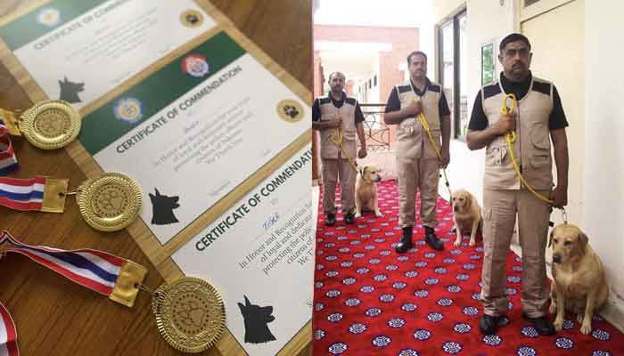 3 official dogs of Punjab Police retired, awarded with medals