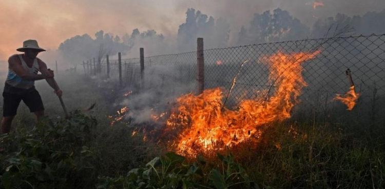 34 people died and dozens were burned in Algerian forest fires due to the heat in North Africa