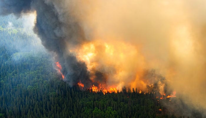 500 forest fires are uncontrollable, 2 firefighters have died