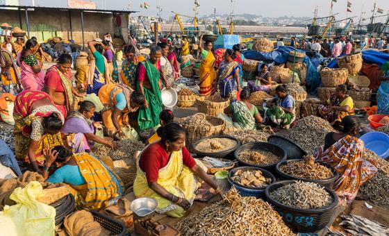 Global food systems ‘broken’, says UN chief, urging transformation in how we produce, consume food
