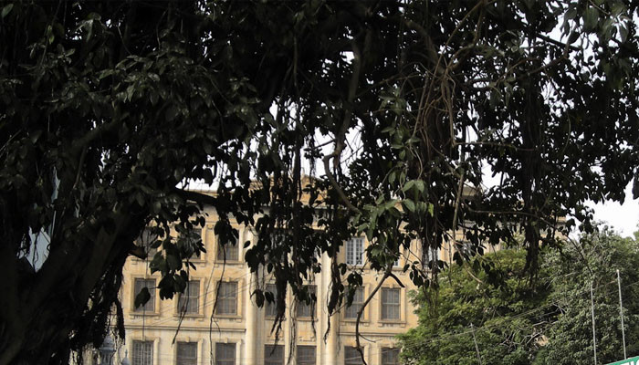 An attempt to catch a baby monkey by setting a net in City Court, Karachi