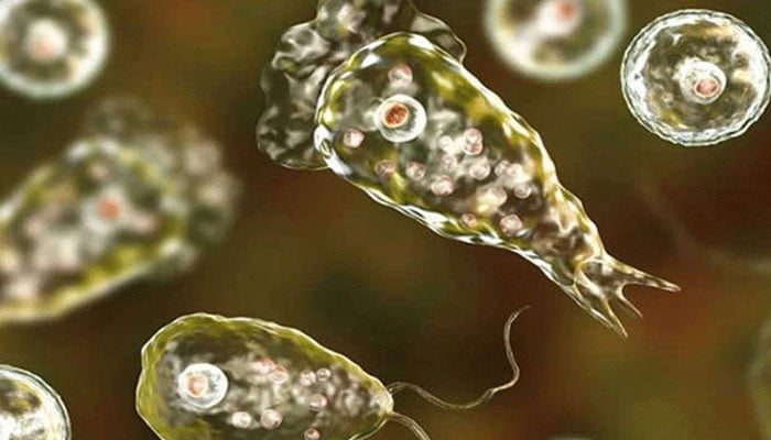 Another person died from Naegleria folarii in Karachi