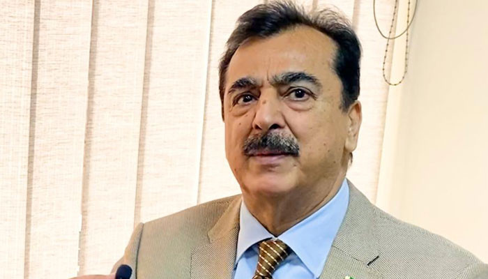 Decision of Kashmir should be according to aspirations of Kashmiri people, Yusuf Raza Gilani