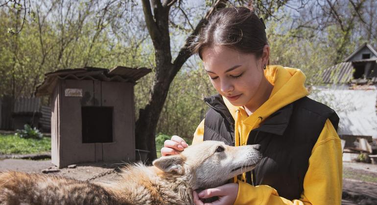 From the Field: Finding a sanctuary for animals in Ukraine