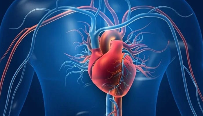 Heart sends multiple signals before failure, experts say