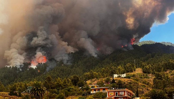 La Palma forest fire uncontrollable, evacuation of 4 thousand people